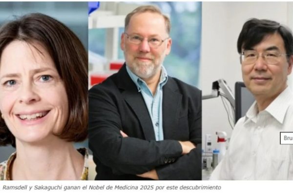 Nobel de Medicina 2025 premia un avance crucial en tratamientos contra cáncer y enfermedades autoinmunes